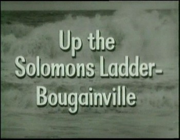 Vzhůru na Šalamounovy ostorvy - Bougainville