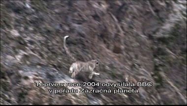 Obrazovka z DVD