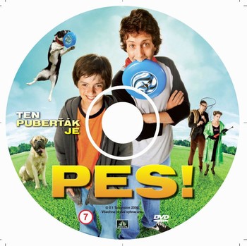 Potisk DVD