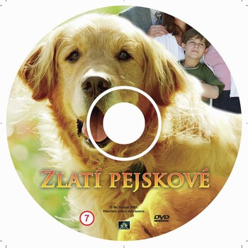 Potisk DVD