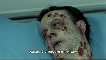 Z traileru