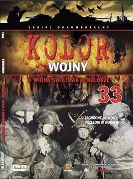 Obal polského DVD