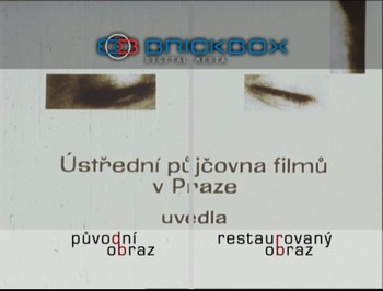 Restaurování obrazu