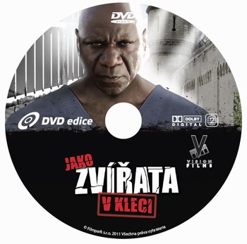 Potisk DVD